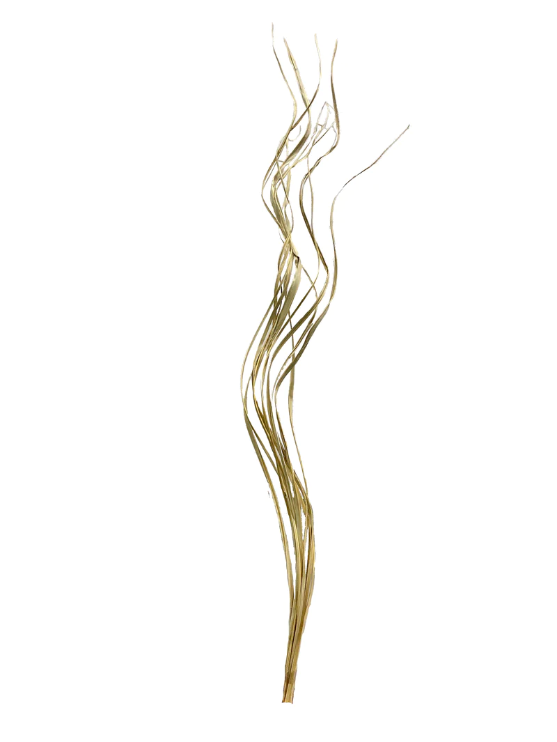 PALM TING TING LASER